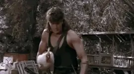 chicken arrow.webp