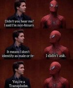 transphobe spider.jpg