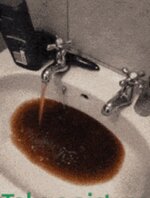 IMG_6897.jpeg