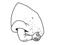 nose v2.JPG