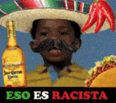 racist 2.gif