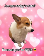 1760111341476.png