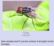 IMG_2324.jpeg
