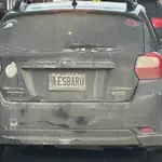 lesbaru.webp