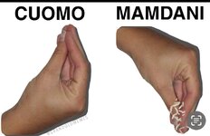 IMG_2643.jpeg