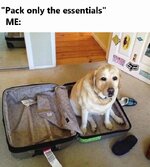 essentials.jpg