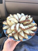 IMG_9512.jpeg