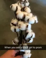 n prom date.webp n prom date.webp