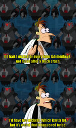 monkey escape 2.jpg monkey escape 2.jpg