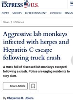 1000032514.jpg 1000032514.jpg