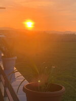 792AE6EB-D7A3-4BFB-825E-C5DCC3C6069F.jpeg 792AE6EB-D7A3-4BFB-825E-C5DCC3C6069F.jpeg