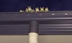 1764722862081.webp 1764722862081.webp