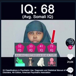 1765084740529.png 1765084740529.png