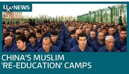 Screenshot_20251208_083315.jpg Screenshot_20251208_083315.jpg