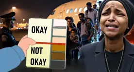 migration chart.webp