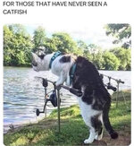 1765897934498.jpeg 1765897934498.jpeg