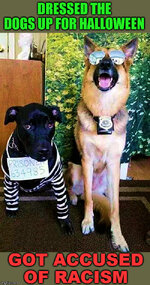 1765906536036.jpeg 1765906536036.jpeg