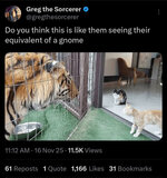 1766026978527.jpeg 1766026978527.jpeg