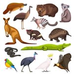 IMG_7488.jpeg IMG_7488.jpeg