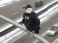 ice eagle.webp
