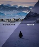 69780832cc184.jpg 69780832cc184.jpg