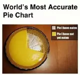 pie chart.webp