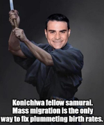 fellow samurai.webp