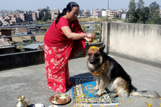 dog-worship-kukur-tihar.webp