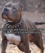 google AI golden retriver.webp