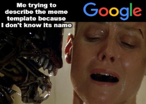 meme search.webp