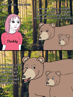 bear - harassment.webp