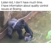 boeing harambe.webp