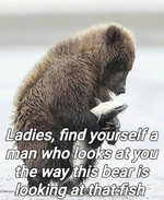 bear meme v3.webp