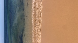 816D847B-9AEA-4699-85DE-02BDA999769C.jpeg