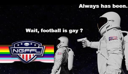 nfl is gay v2.jpg