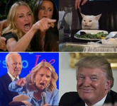 trump - cat meme template.webp