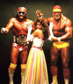 TheMegaPowers.webp