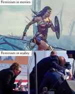 feminism movies vs reality.webp