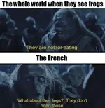 french frog - LOTR.webp