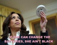 kamala chirp.JPG