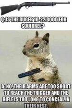 squirrel gun.JPG