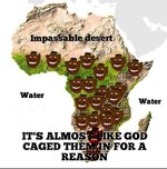 africans.jpeg